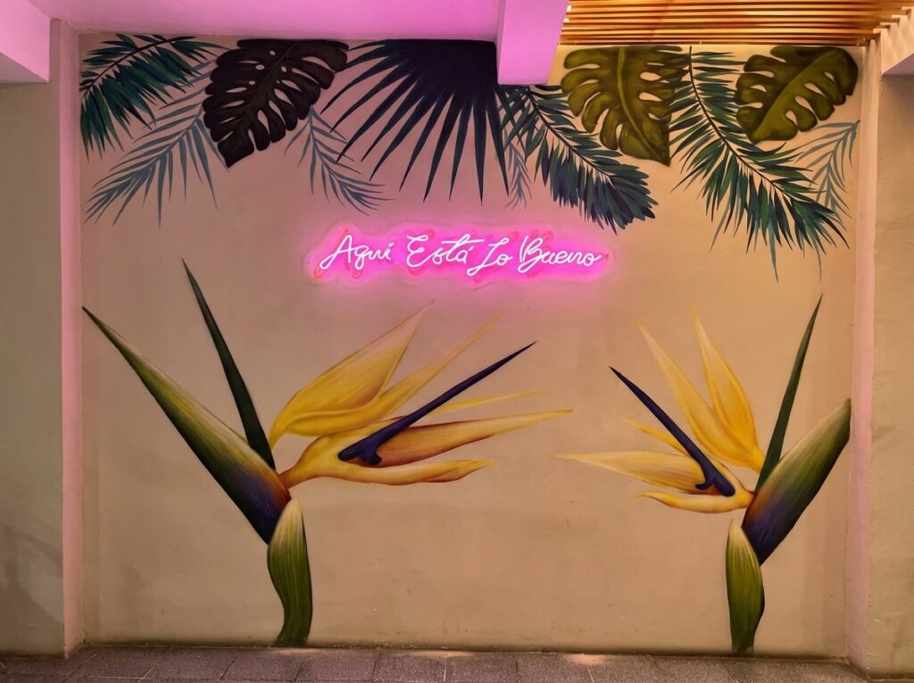 neon flex aqui esta
